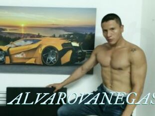 ALVAROVANEGAS