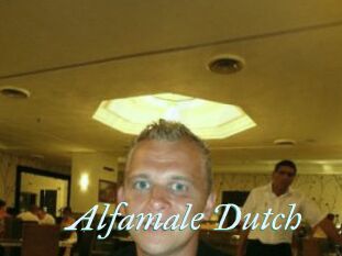 Alfamale_Dutch