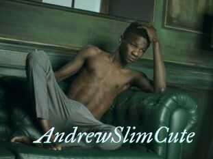 AndrewSlimCute