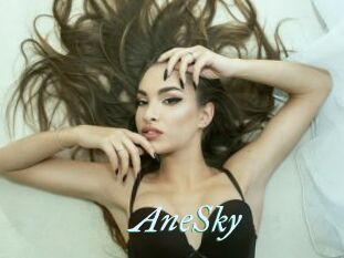 AneSky