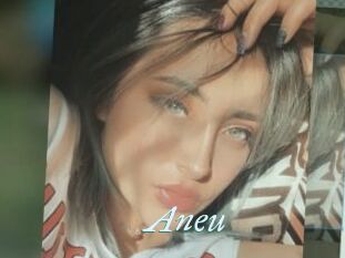 Aneu