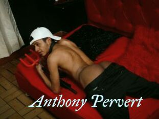 Anthony_Pervert