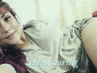 Aleja_burnig