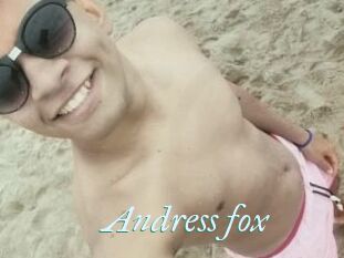 Andress_fox