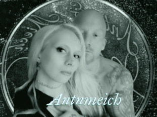 Antnmeich