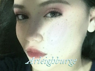 Arleighburge