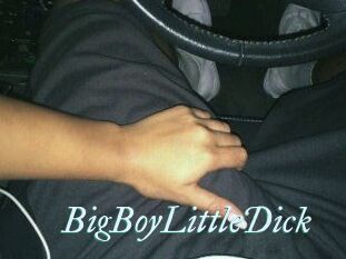 BigBoyLittleDick