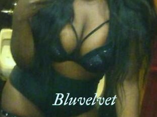 Bluvelvet