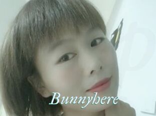 Bunnyhere