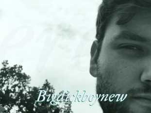 Bigdickboynew