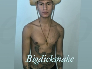 Bigdicksnake