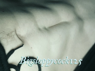 Bigsloppycock125