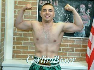 CarlitoBoxer