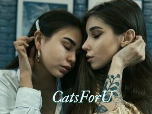 CatsForU