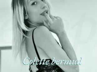 Colette_bermud