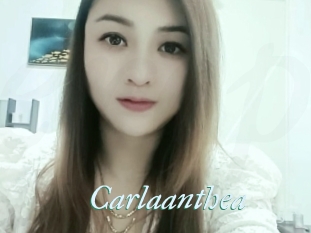 Carlaanthea