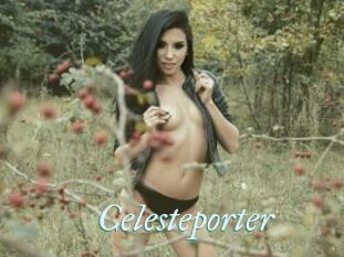 Celesteporter