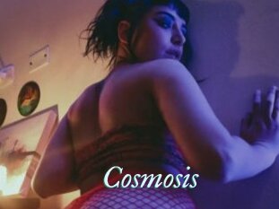 Cosmosis