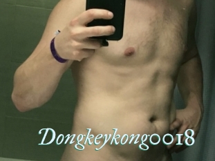 Dongkeykong0018