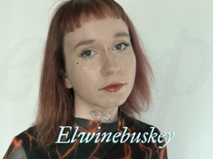Elwinebuskey