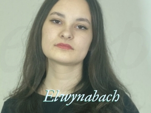 Elwynabach