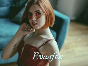 Evaafox