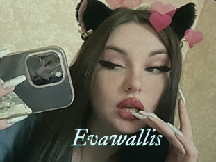 Evawallis