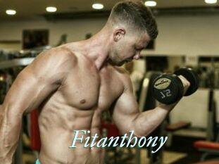 Fitanthony