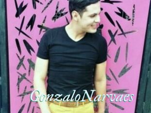 GonzaloNarvaes