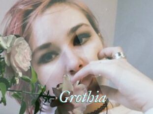Grothia