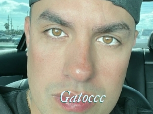Gatoccc