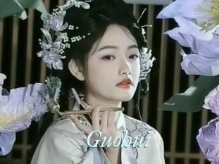 Guohui