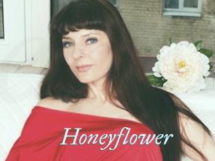 Honeyflower