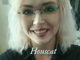 Houscat