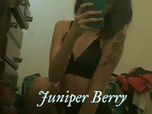 Juniper_Berry