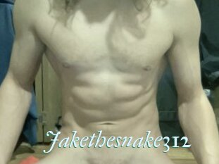 Jakethesnake312