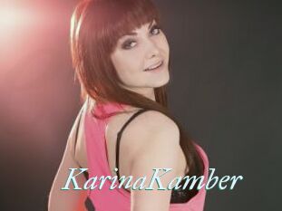 KarinaKamber
