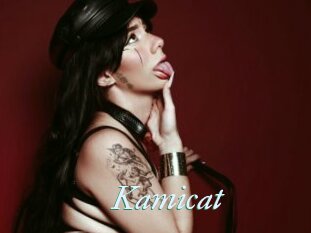 Kamicat