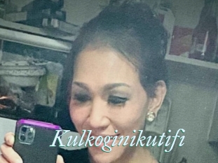 Kulkoginikutifi