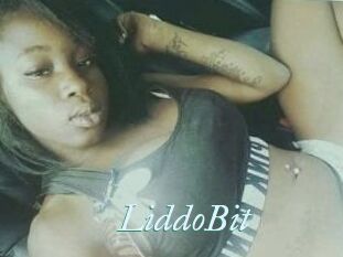 LiddoBit
