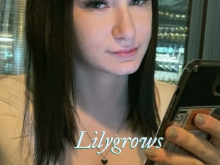 Lilygrows