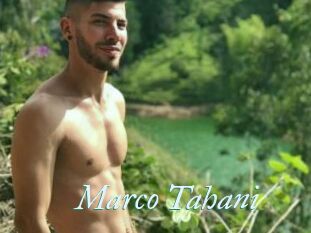 Marco_Tahani