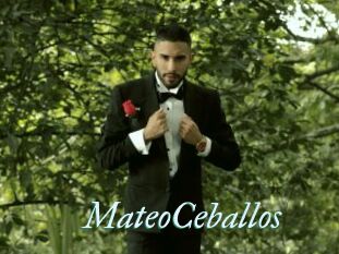 MateoCeballos
