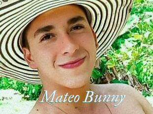 Mateo_Bunny