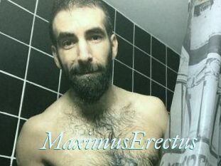 MaximusErectus