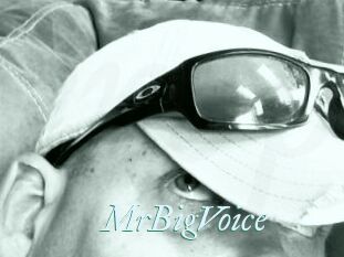 MrBigVoice