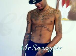 Mr_Savagelee