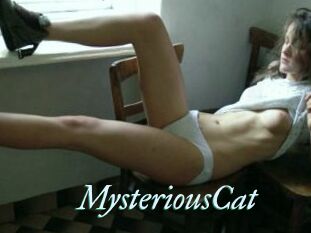 MysteriousCat