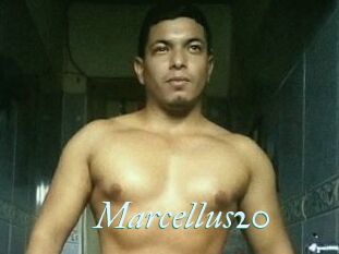Marcellus20