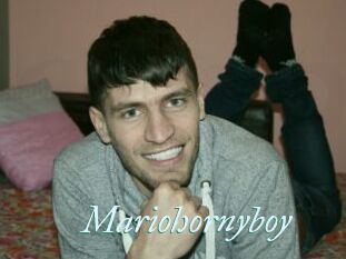 Mariohornyboy